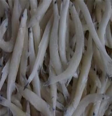 魚類粗加工水產品冷凍面條魚銀魚海產品