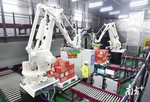 預制菜概念股逆勢走強 看廣東企業如何布局