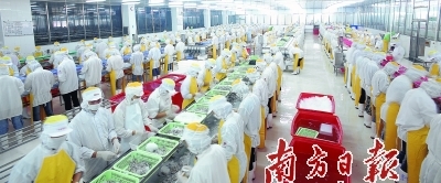 供給側結構性改革助力廣東漁業現代化