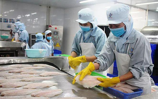 5月水產(chǎn)品進(jìn)口量"三連漲",巴沙魚進(jìn)口量為19年以來(lái)單月.