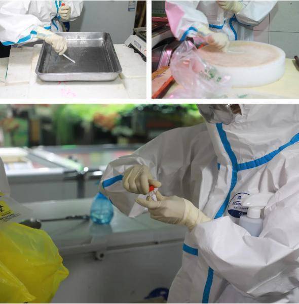 區衛生健康系統多措并舉 做好非常時期疫情防控工作