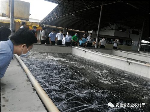 楊增權參加全國水產品加工發展座談會并作典型交流發言