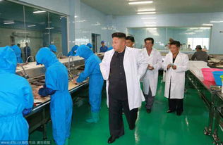 金正恩穿 白大褂 視察水產品加工廠