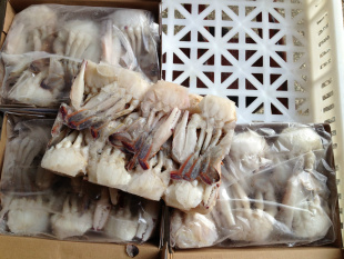 冷凍粗加工水產品-蟹-冷凍粗加工水產品盡在阿里巴巴-日照玉鯨水產