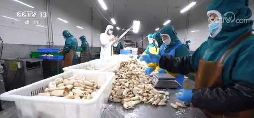 "大食物觀"里的產業升級 水產預制菜延長水產養殖產業鏈