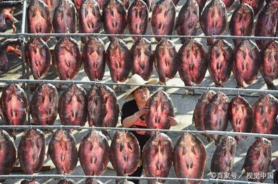 浙江杭州迎來晴好天氣,水產工人晾曬魚干忙!
