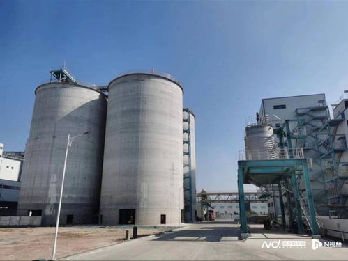 強信心 穩(wěn)預期 促發(fā)展丨看潮州如何開創(chuàng)海洋強市建設新局面
